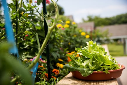 BLONDEPHOTO_220616_479_0412