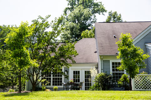 Collington Cottage surrounded by trees