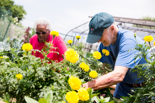 From Soil to Soul: The Promise of Gardening