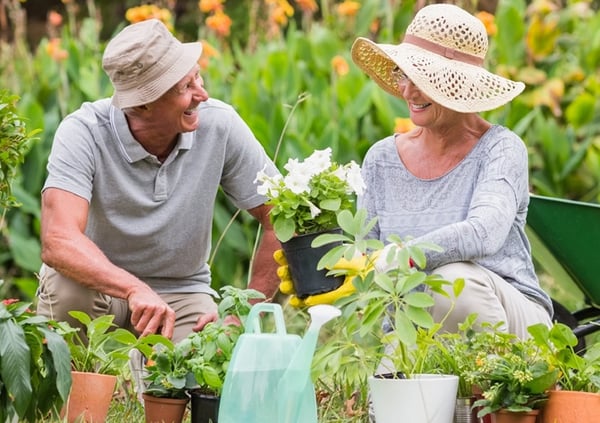 Senior Living Made Easy! Fun Activities for Retirees...