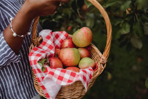 apple_picking