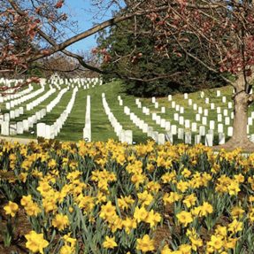 arlington cementary