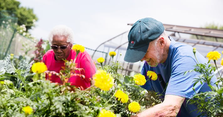 residents-working-in-garden-email