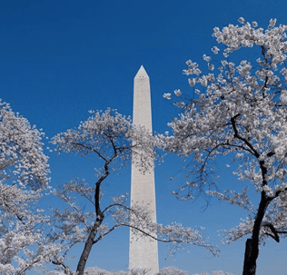 washington monument